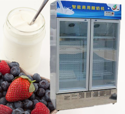 雙門上風酸奶機.jpg